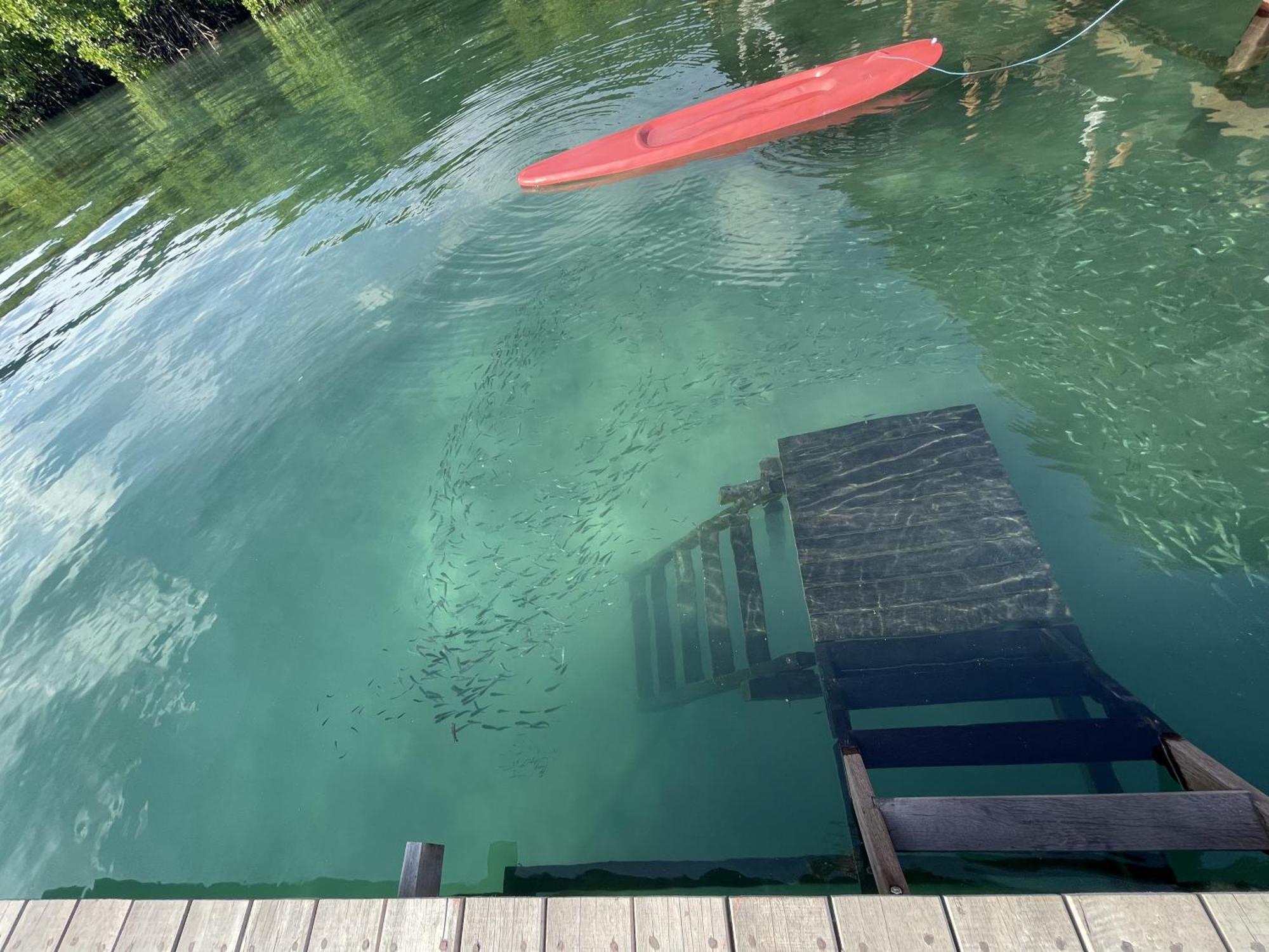 Floating Paradise Ilhas Karimunjava Exterior foto